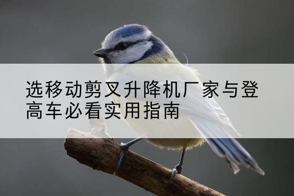大安电动升降机厂家-选移动剪叉升降机厂家与登高车必看实用指南