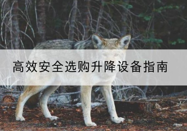大安升降货梯厂家推荐-*安全选购升降设备指南
