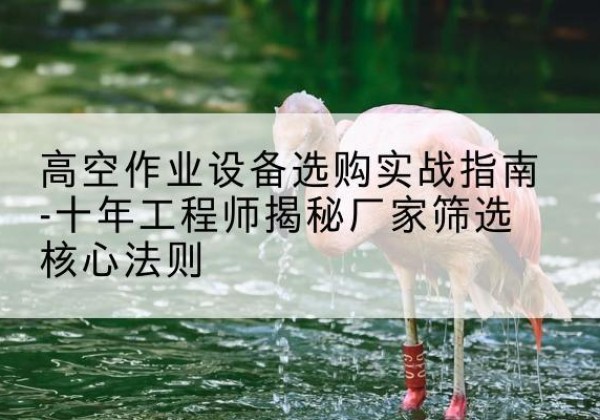 大安剪叉式升降机厂家-高空作业设备选购实战指南-十年工程师揭秘厂家筛选核心法则